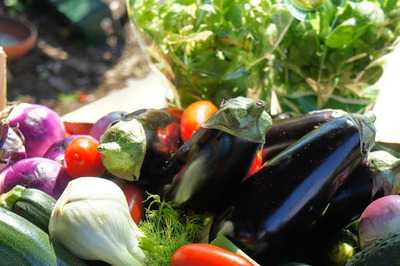 Trattoria Borgo D' Aneto