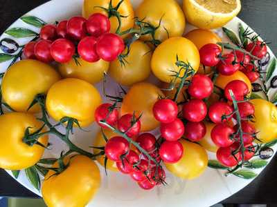 Trattoria Borgo D' Aneto