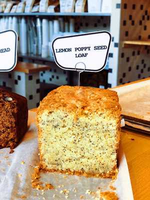 Lebkov & Sons Rotterdam