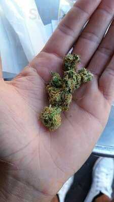 Green House Coffeeshop