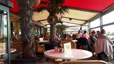 Chicoleo Mexican Restaurant