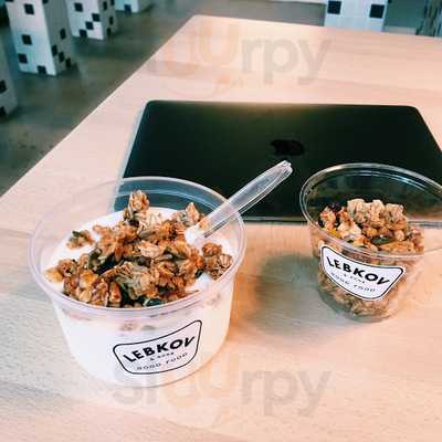 Lebkov & Sons Den Haag