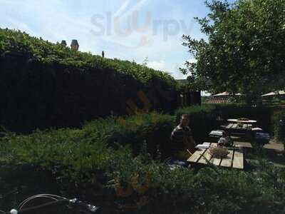 Theehuis Mon-chouette