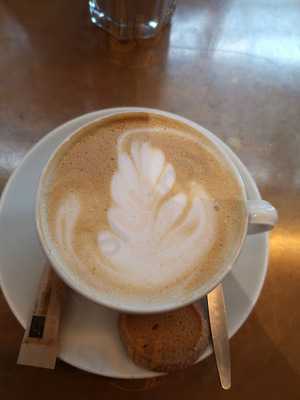 Barista Café Wilhelminaplein