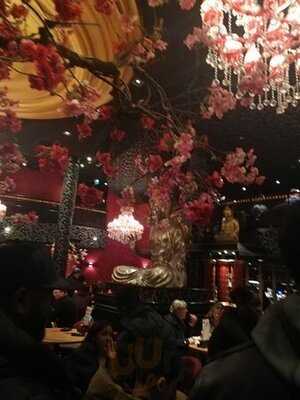 Sumo Amsterdam Leidseplein Sushi & Grill