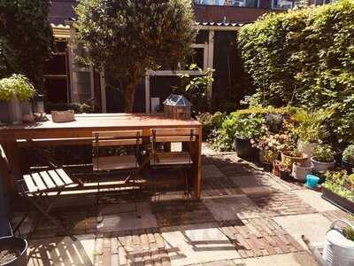 Anne Maike Of Casa Curiosa