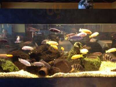 Chinees-kantonees Spec Rest Lucky Garden