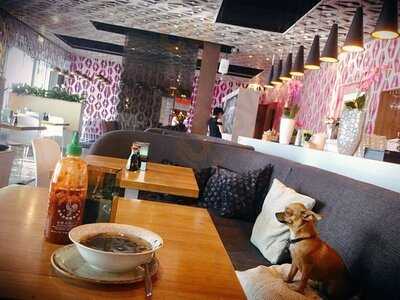 Kreeftenbar Amsterdam