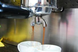 Taste & Flavor Jordaan