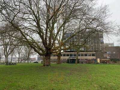 Pension Homeland Bar & Restaurant