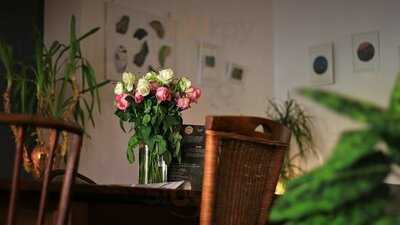 Oko - Cultural Melting Point