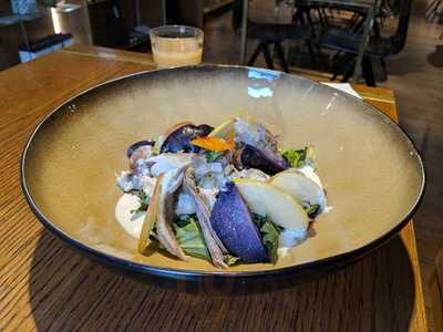 Vascobelo V-bar Scheltema