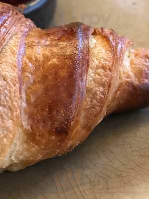 Vascobelo V-bar Scheltema