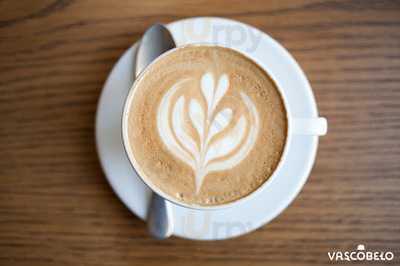 Vascobelo V-bar Rijnstraat