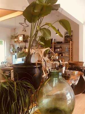 Kannibalen En Paradijsvogels