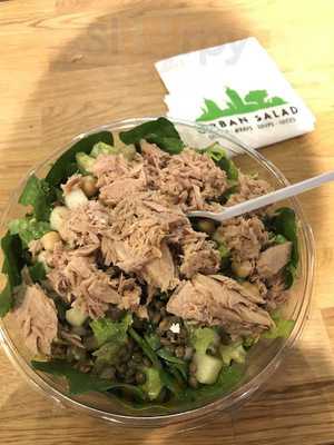 Urban Salad