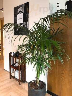 Vascobelo V-point Eurocente