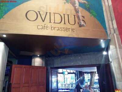 Café Ovidius