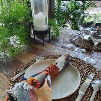 Eatwith: Eliane Of Amsterdam