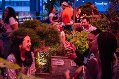 Rooftop Of Bleyenberg