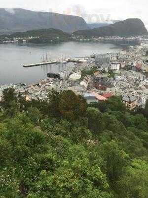 Hoffmann Cafe And Bar