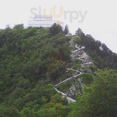 Hoffmann Cafe And Bar