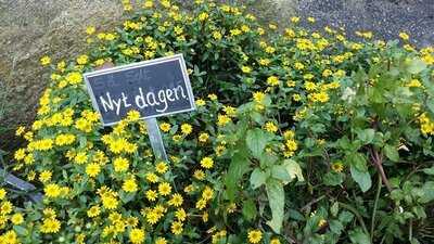 Is Paradis Møllebukta