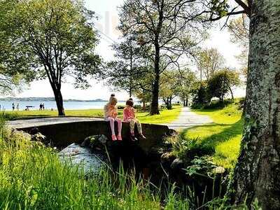 Is Paradis Møllebukta