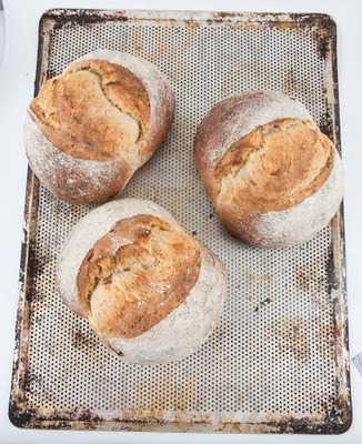 Buøy Bakeri Og Konditori