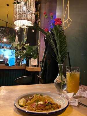 Panczo Św. Antoniego