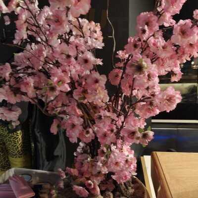 Kofuku Sushi Shop & Bistro