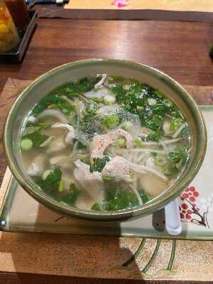 Little Hanoi...and More!