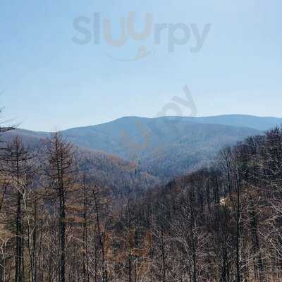 Krzywa Chata Nad Zapora W Wapienicy