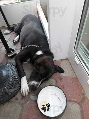 La Vineria Bistro Wine Bar & Cafe