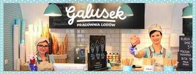 Galusek - Pracownia Lodów Naturalnych