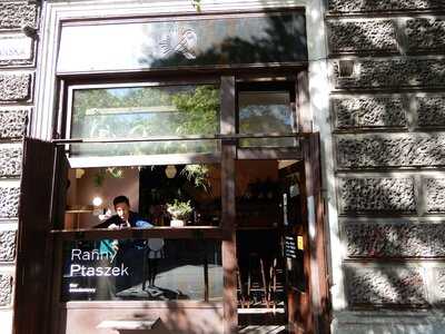 Ranny Ptaszek