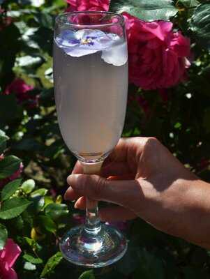 Kawiarnia Teatralna W Krakowie