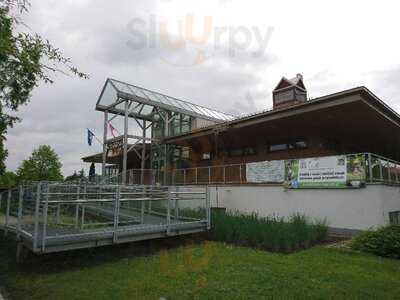 Kawiarenka W Ogrodzie Botanicznym