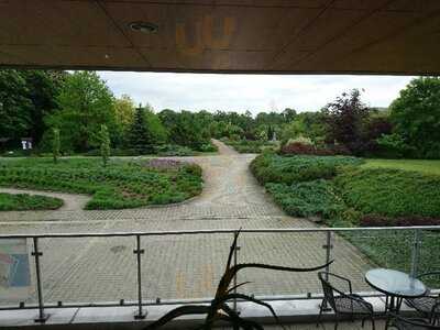 Kawiarenka W Ogrodzie Botanicznym