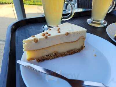 Kawiarenka W Ogrodzie Botanicznym