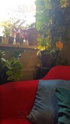 Lente - Modern Mediterranean