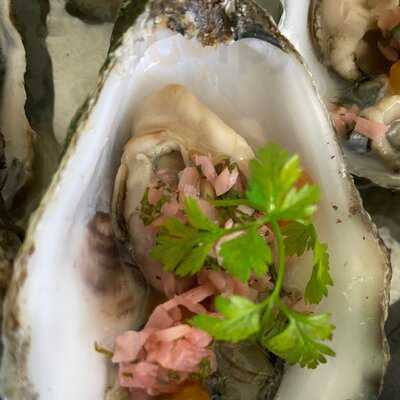 Niewinni Czarodzieje 2.0