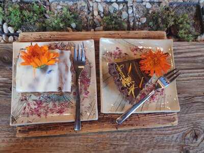 Pijalnia Ziół Dary Natury