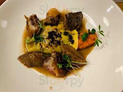 Mille Vigiani Syta 93