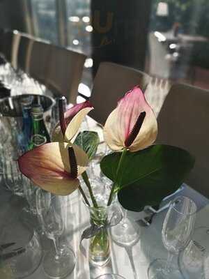 Olkuska 7 By Jarosław Uściński