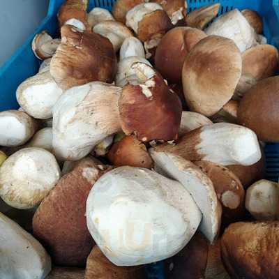 Pizzeria Nowoursynowska