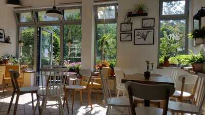 Migdałowa Pracownia Wypieków