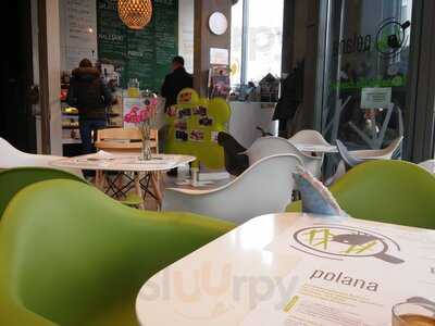 Polana