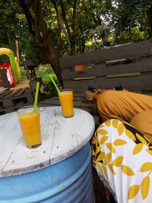 Restauracja Dziki Lokator