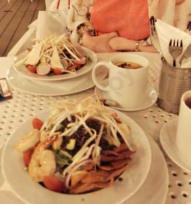 Tentego Bistro Live Garden